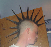 headshot.jpg